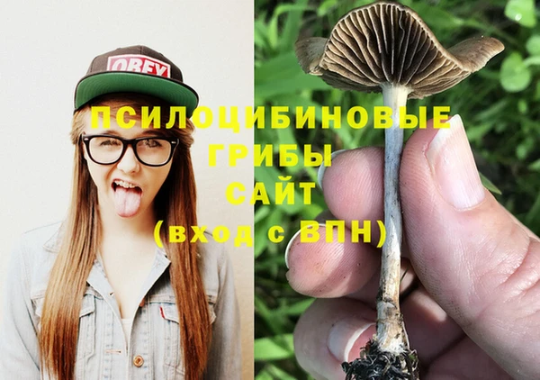 ГАЛЛЮЦИНОГЕННЫЕ ГРИБЫ Абинск