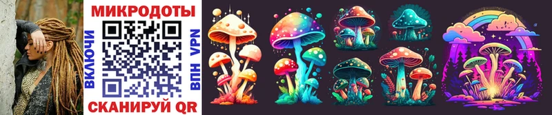 Псилоцибиновые грибы Psilocybe  продажа наркотиков  Шумиха 